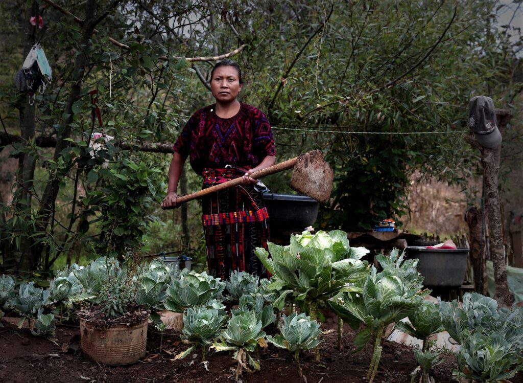 2020,el año que mas hambre paso Latinoamericana en 20 años