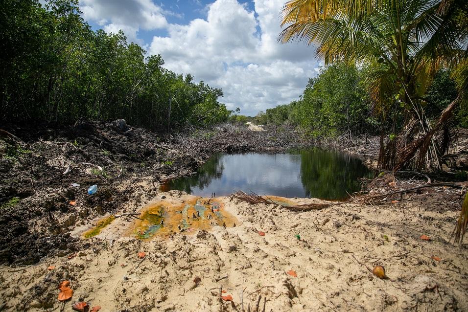 Procuraduría ambiental inmobiliaria